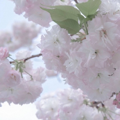 灞桥FurryQQ群介绍